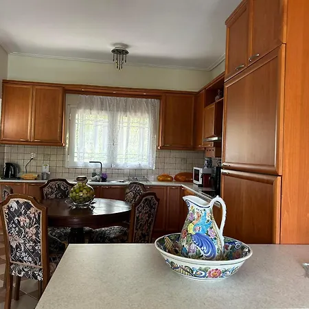 La Casa Tzortzina Case de vacanță *